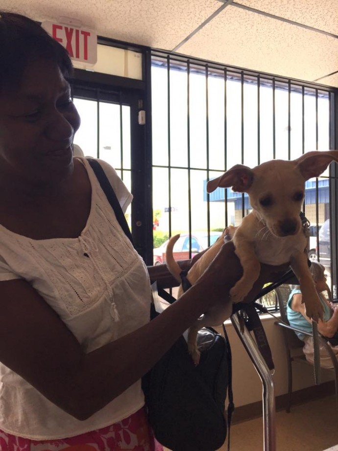 vets4pets cremation cost