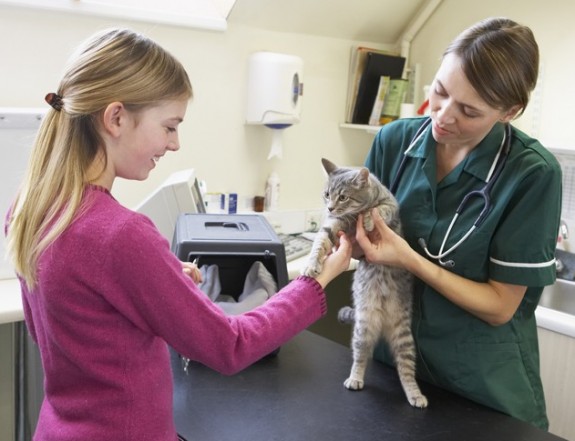 Young Girl Bringing Cat For Examination By Vet