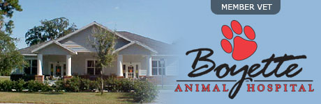 Boyette Animal Hospital