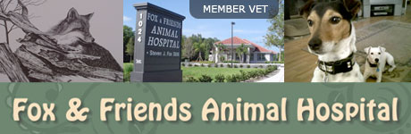 Fox and Friends Animal Hospital
