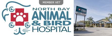 North Bay Animal and Bird Hospital