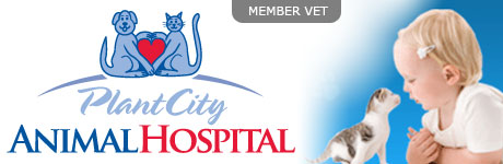 Plant City Animal Hospital